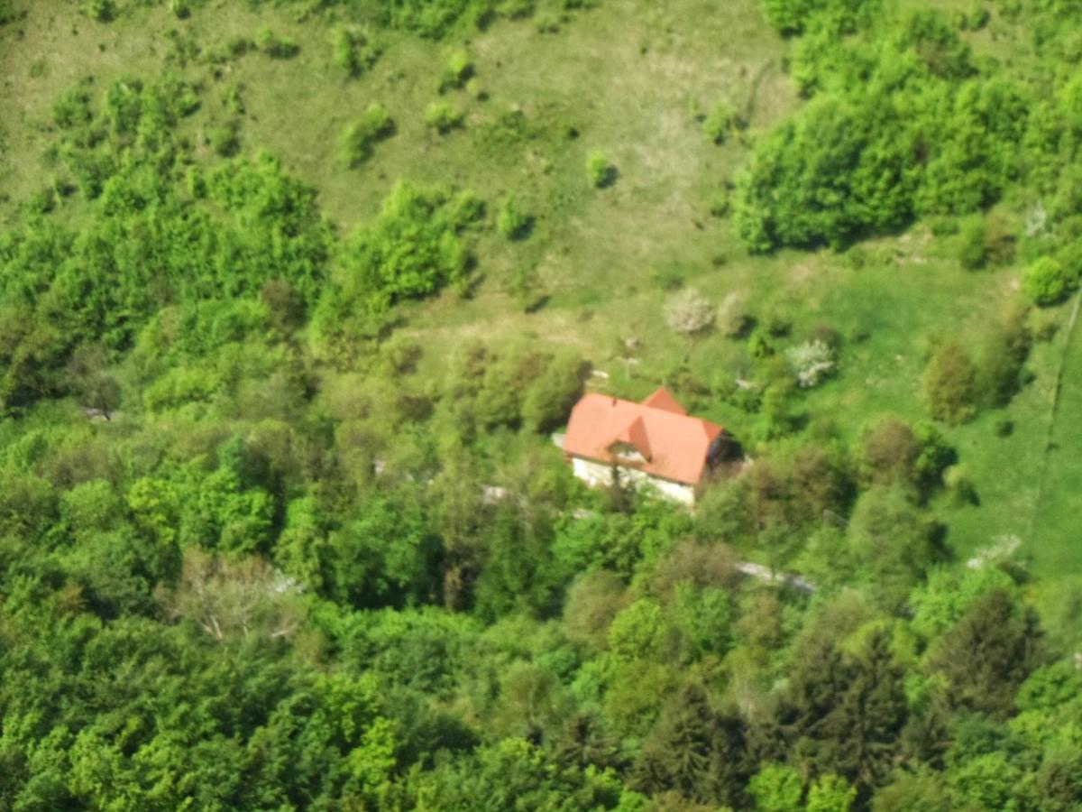 Nicehead Spacious Nest Between Maribor And Celje Loce pri Poljcanah Екстер'єр фото